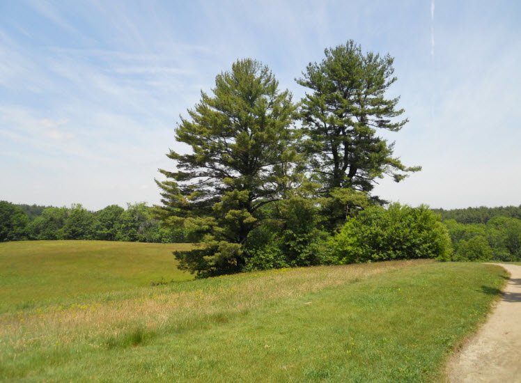 Maudslay State Park, Massachusetts, USA